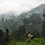 Landscape in Sri Lanka